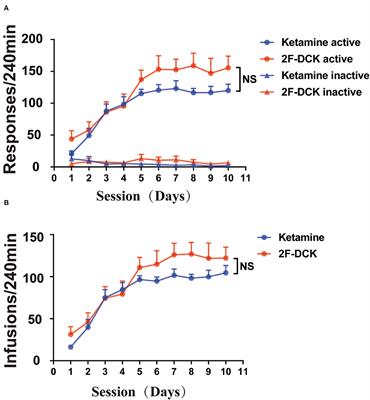 A comparison of reinforcing effectiveness and drug-seeking reinstatement of 2-fluorodeschloroketamine and ketamine in self-administered rats